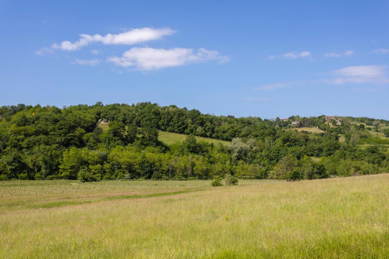 Kamp Brda And Kojsko