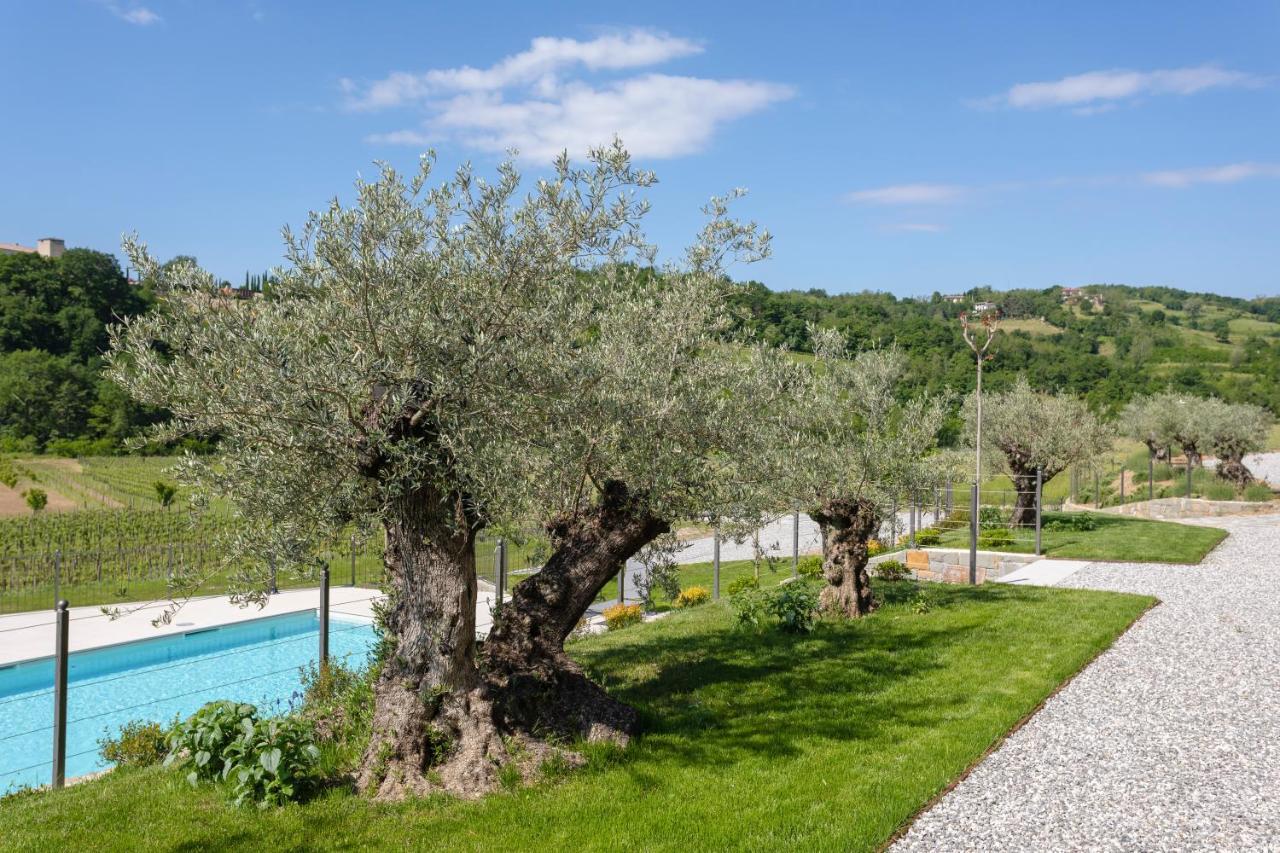 Camping Kamp Brda And