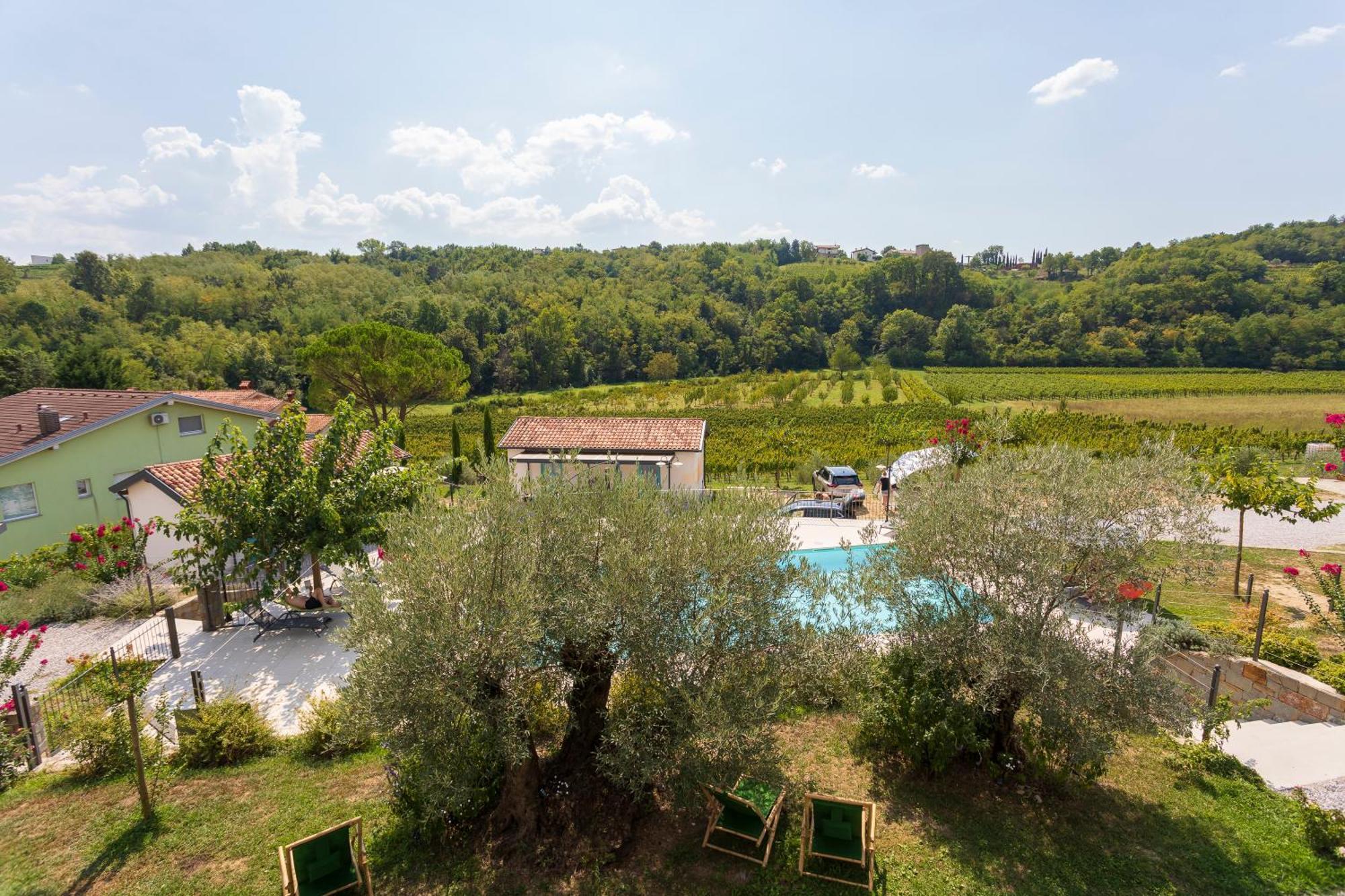 Camping Kamp Brda And Kojsko