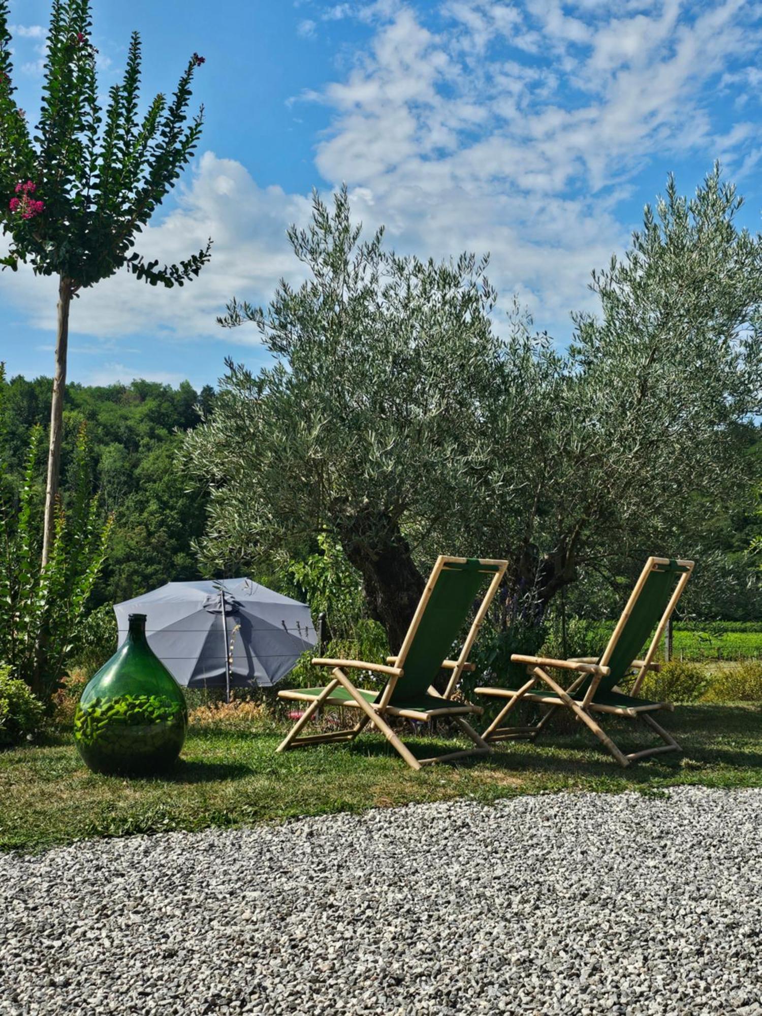 Kamp Brda And *